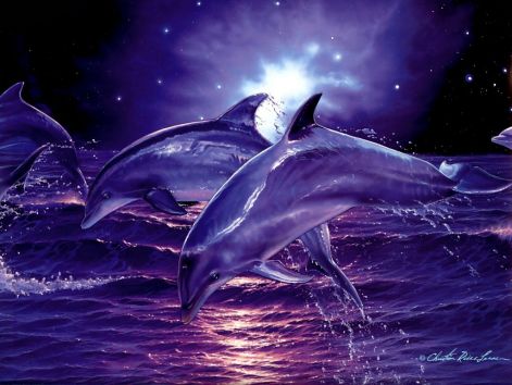 3d_digital_dolphins.jpg